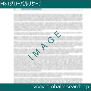 グローバルリサーチ調査レポートのイメージ